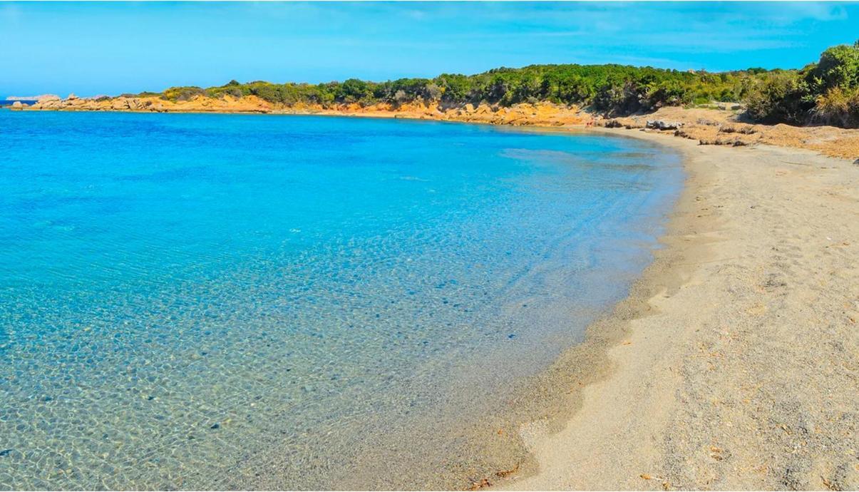 Maisonnette Climatisee A 35M De La Plage De La Capte Hyeres Villa Exterior foto